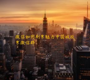 微信如何刷票魅力中国城投票微信群 