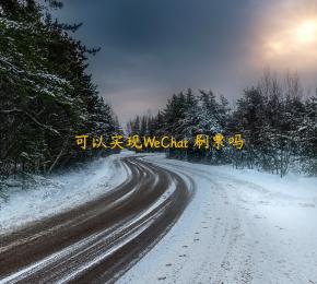 可以实现WeChat 刷票吗