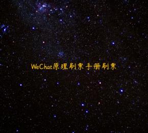 WeChat原理刷票手册刷票
