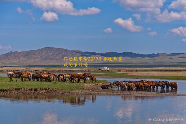 你想投票给2019年春晚最喜欢的节目吗