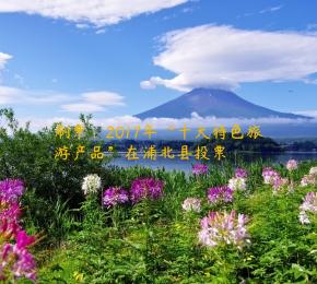 刷票：2017年“十大特色旅游产品”在浦北县投票