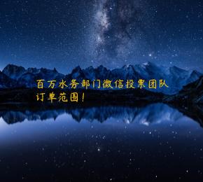 百万水务部门微信投票团队订单范围！