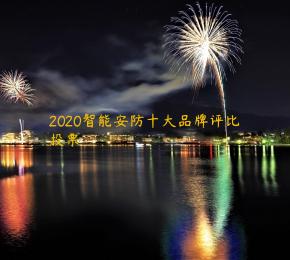 2020智能安防十大品牌评比投票