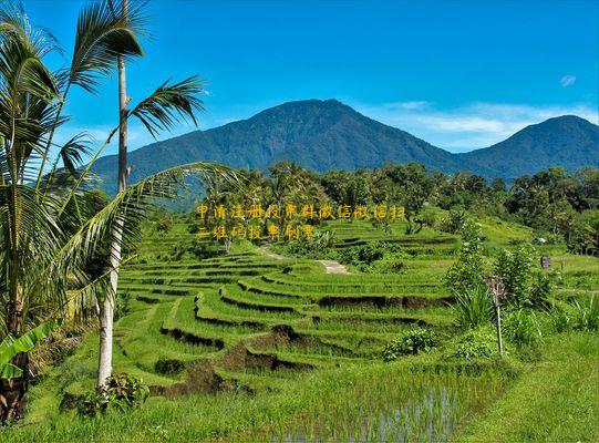 申请注册投票群微信微信扫二维码投票刷票