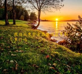 微信投票登录器微信投票刷票行吗 