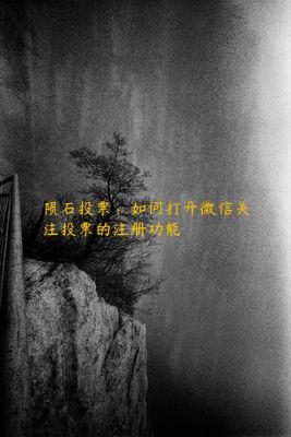 陨石投票：如何打开微信关注投票的注册功能