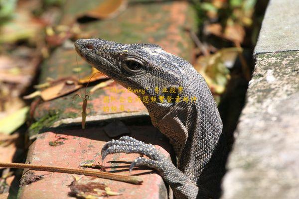 “Micro Bunny”专业投票团队会告诉您频繁登录邮件的频率。