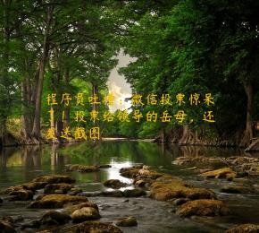 程序员吐槽：微信投票惊呆了！投票给领导的岳母，还发送截图