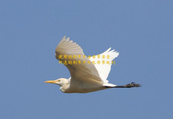 使用的刷票方法非常安全，所选的刷票平台也非常规则